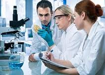 Medical Bacteriology laboratory report