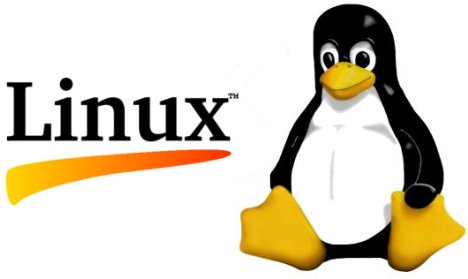 Article Linux