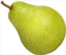 Pear tree research