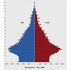 Drawing of the population age pyramid