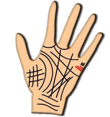 History article palmistry
