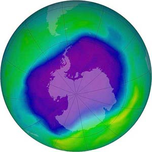 Article ozone and the environment