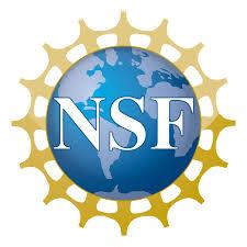 دانلود مقاله برنامه راهبردی سرمایه انسانی NSF